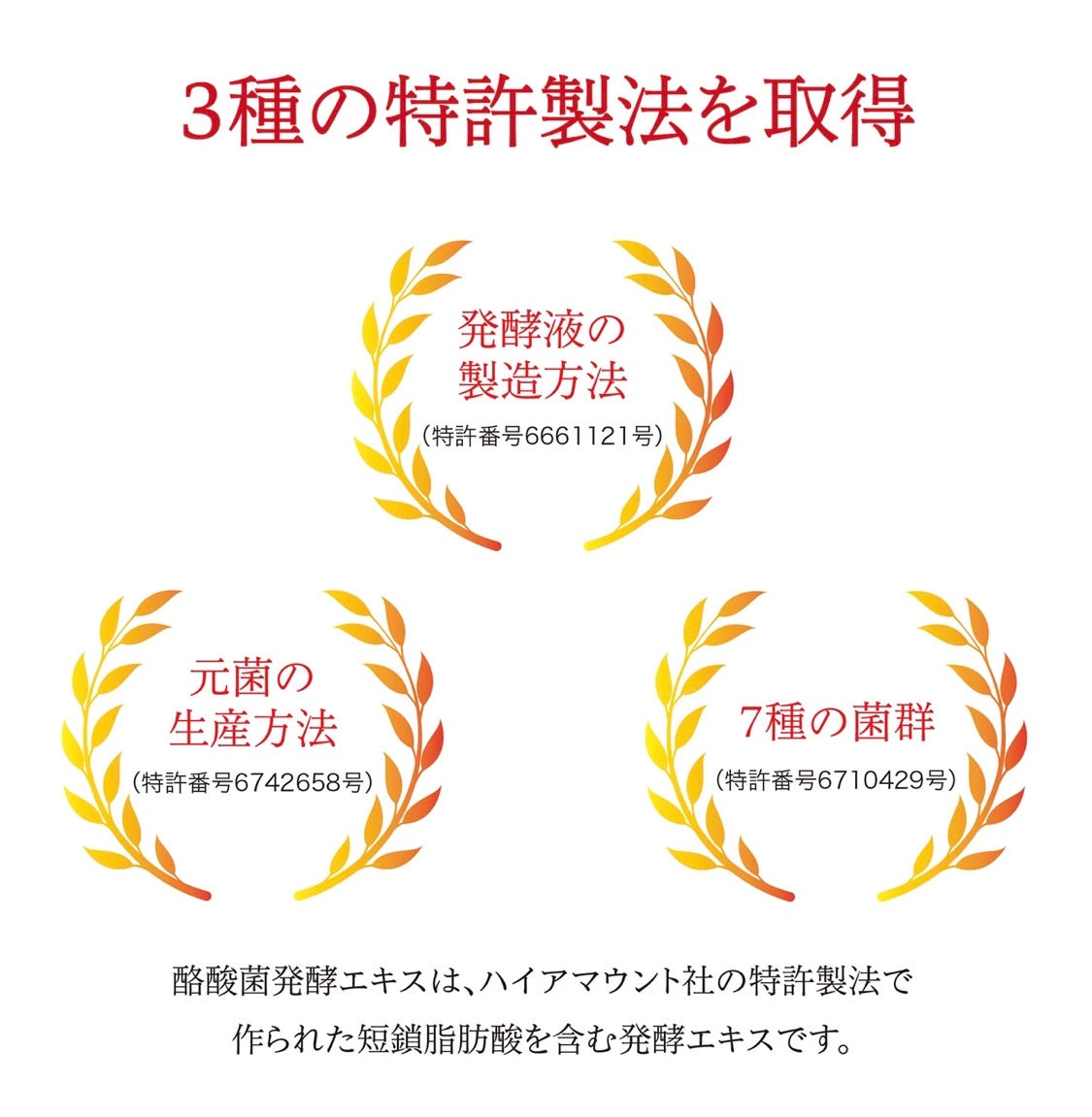 酪酸ラクワ(2ヶ月)※賞味期限2025.1