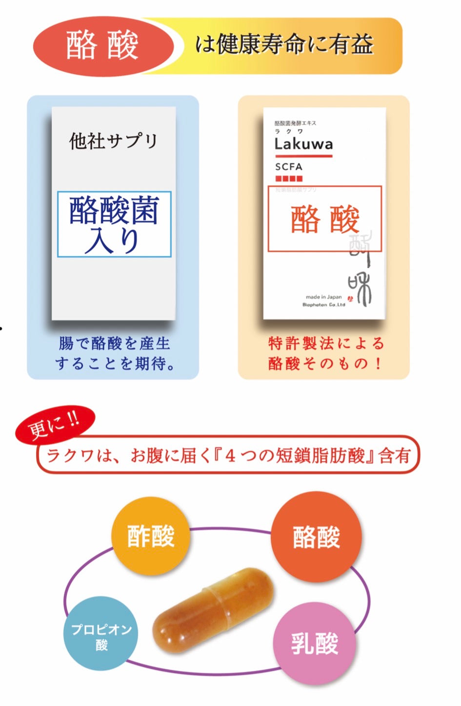 酪酸ラクワ(2ヶ月)※賞味期限2025.1