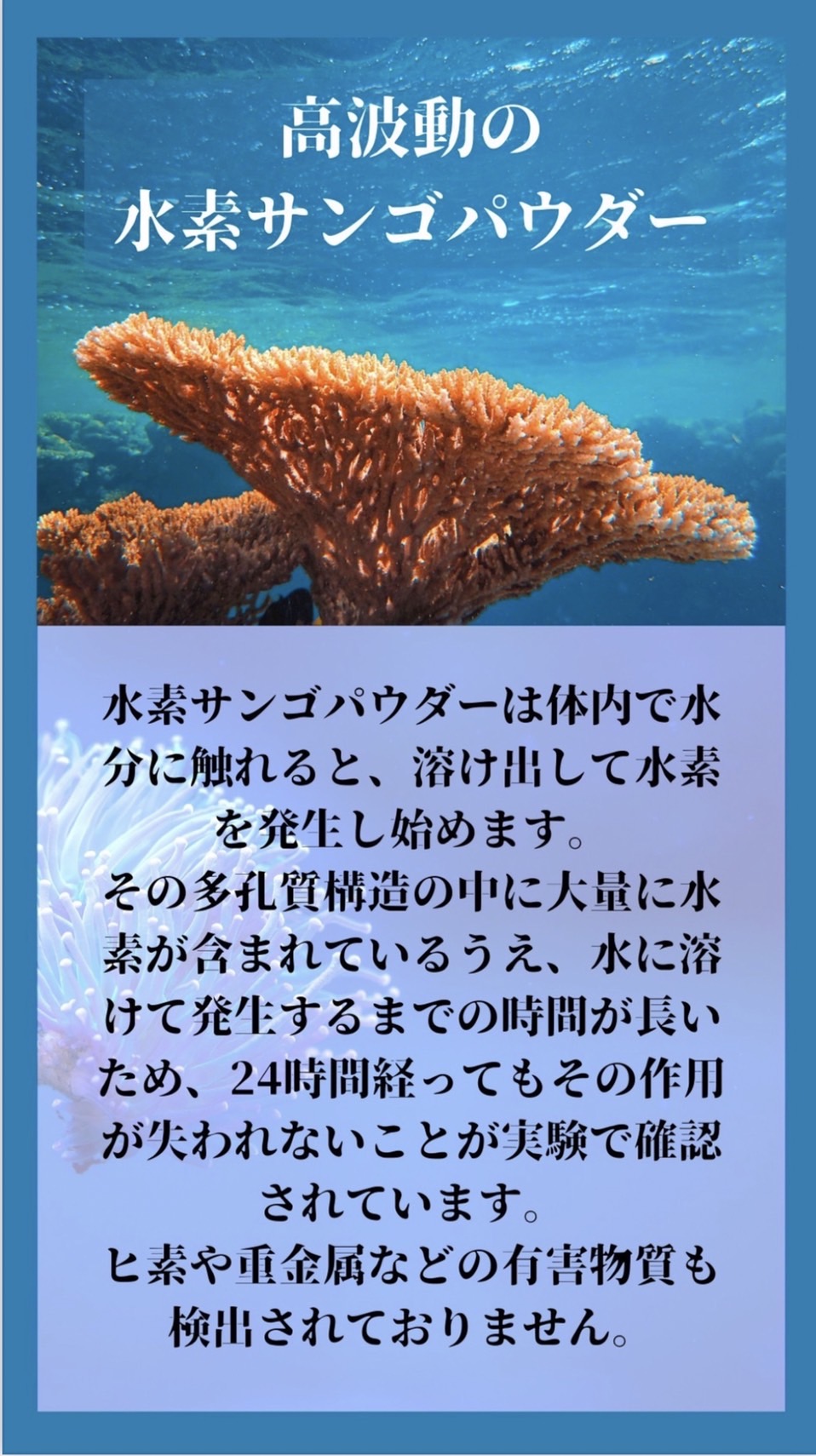 ●ひなたの塩(300g)