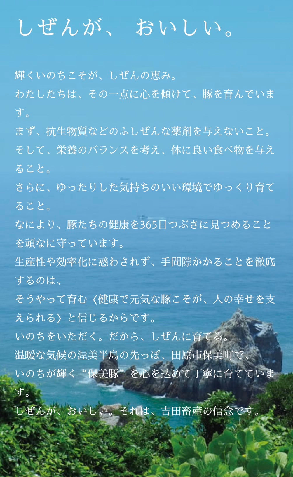 抗生物質無投薬「保美豚ラード」