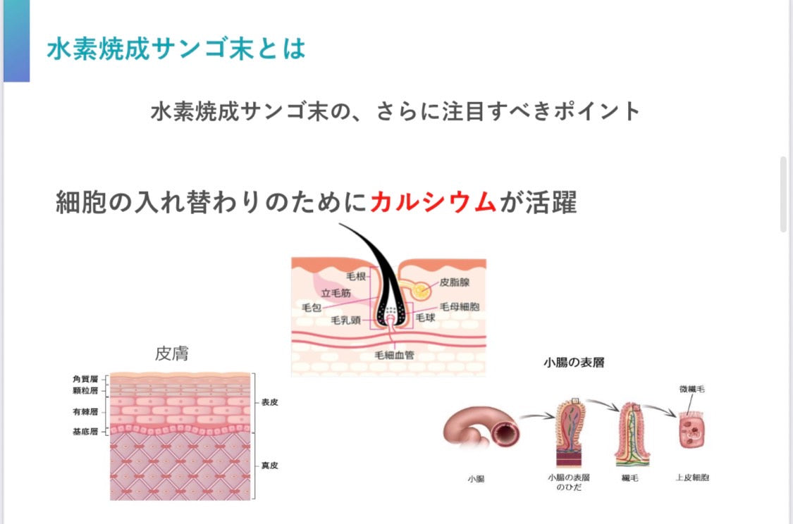 caltimoカルティモ